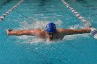 Swimming vs Bentley  Wheaton College Swimming & Diving vs Bentley College. - Photo by Keith Nordstrom : Wheaton, Swimming & Diving